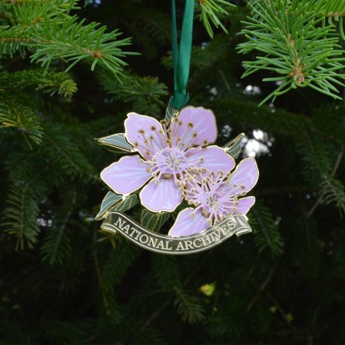 111456 ORNAMENT Cherry 0143