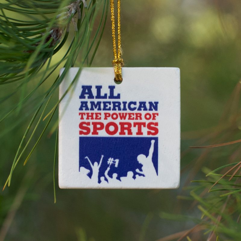 113421AllAmericanOrnament3