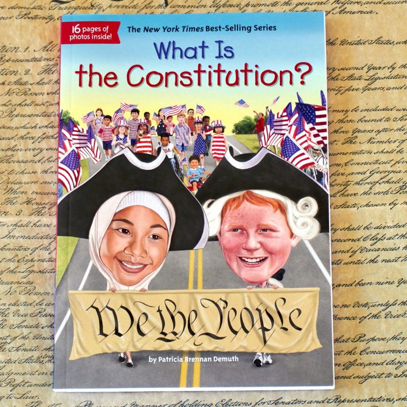 SusanTraywick SKU 110449 What Is The Constitution 1