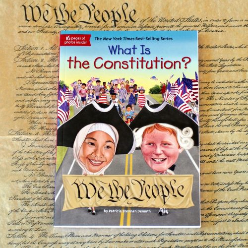 SusanTraywick SKU 110449 What Is The Constitution 2